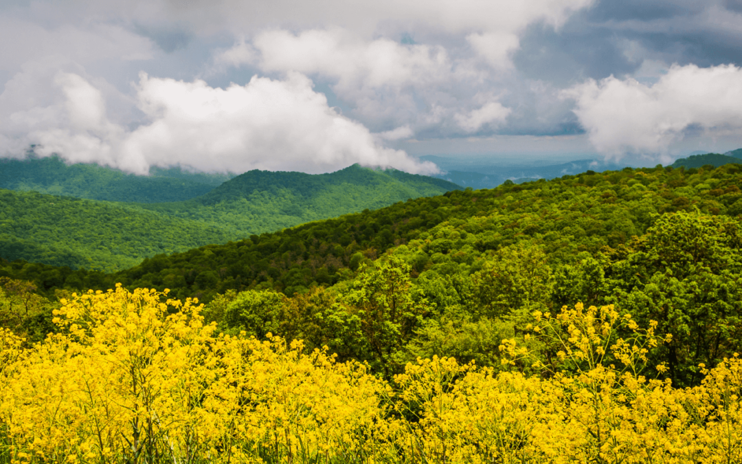 Experience the Beauty of Spring in Virginia’s Blue Ridge