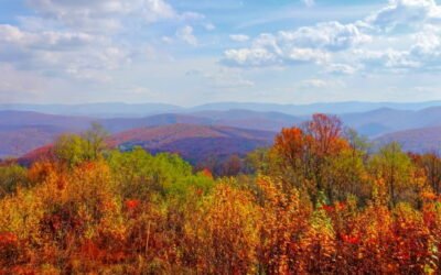 Why Fall in Virginia Is One of the Most Beautiful Times of Year