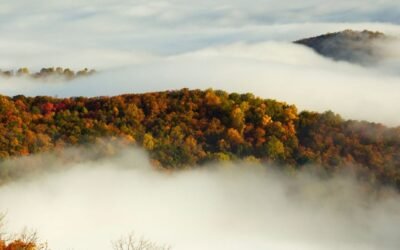 Shenandoah National Park: What to Know and See for an Amazing Time
